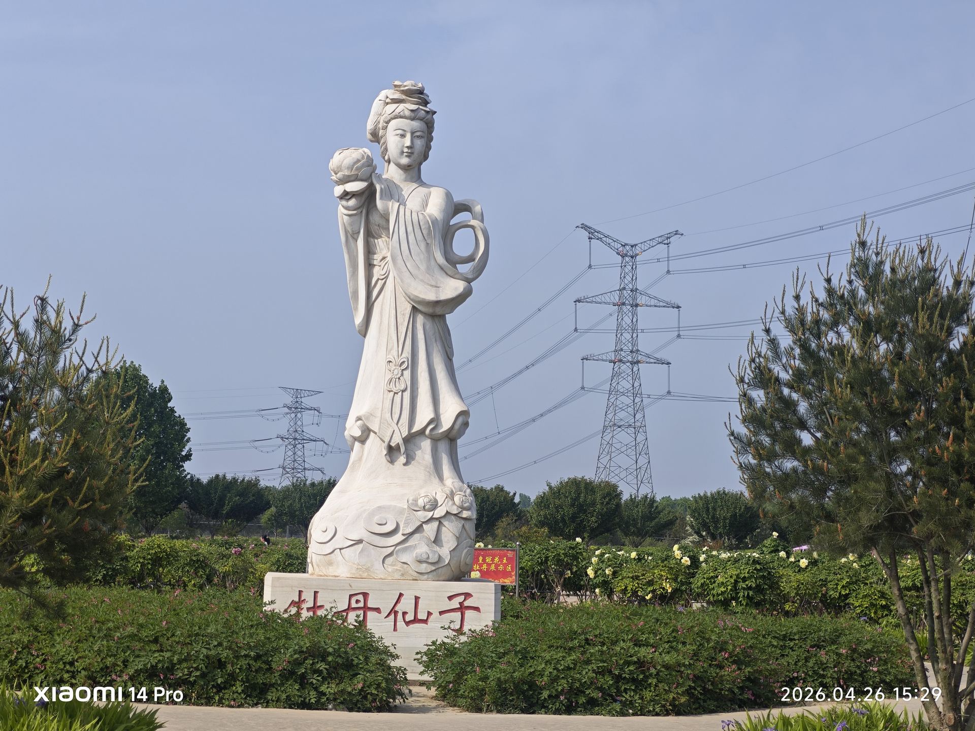 牡丹仙子白色石雕亭亭玉立，手持花篮，衣袂飘飘，守护着这片牡丹的王国。