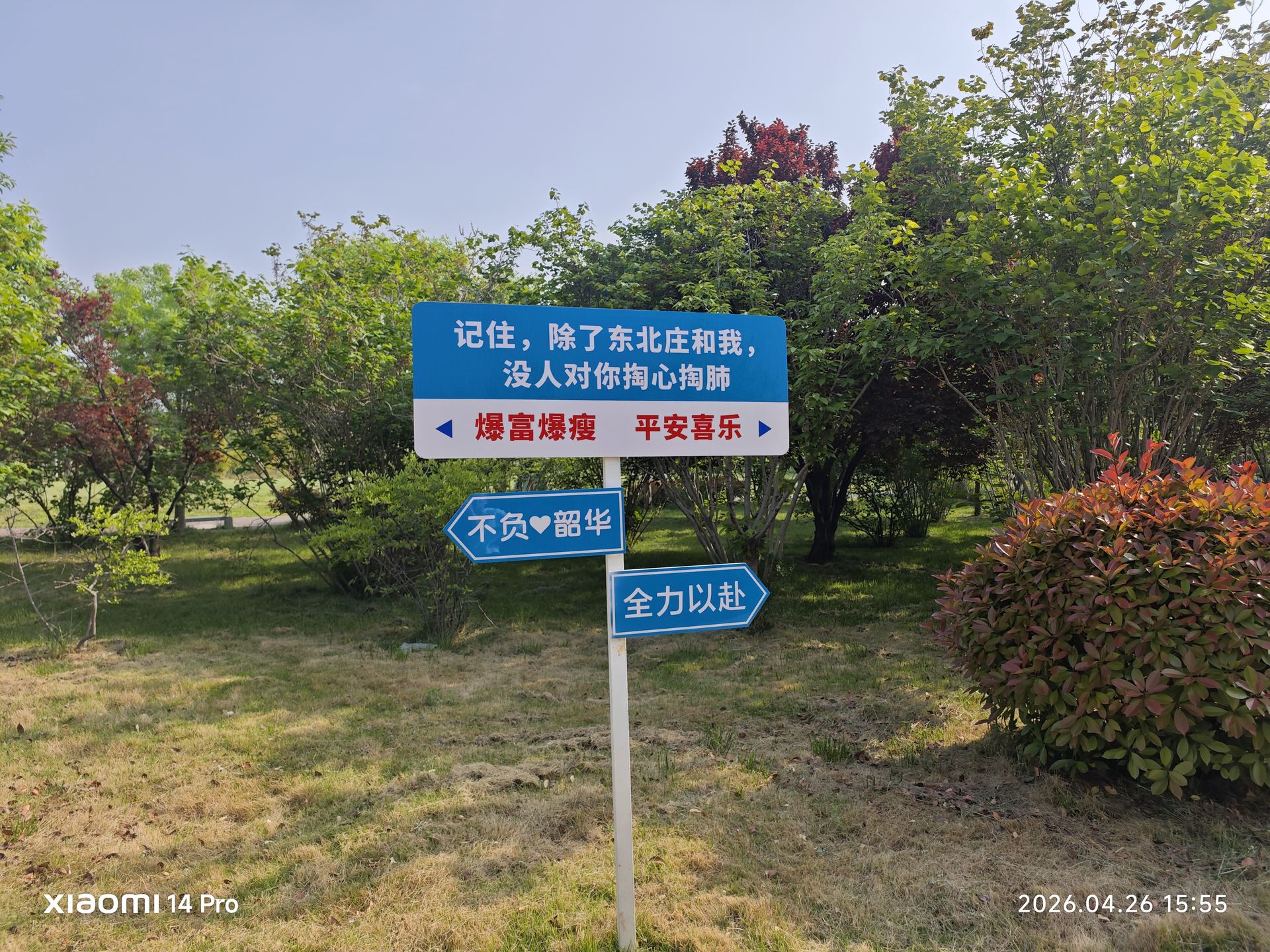 路边'您已进入电子监控区域'的蓝色警示牌，'平安华龙'几个字格外醒目。