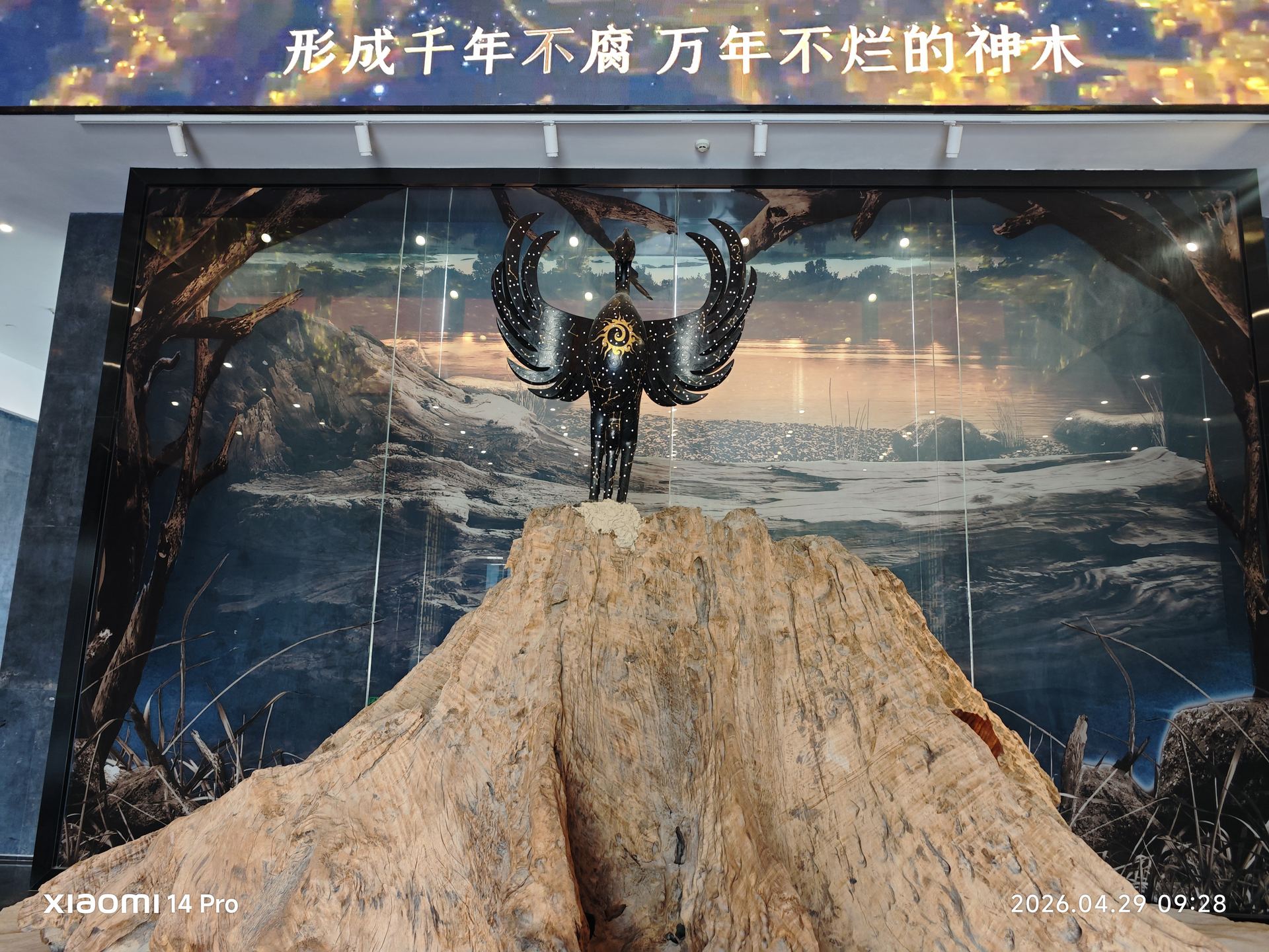 展厅入口的大型乌木展品气势磅礴，顶部鹰形雕塑展翅欲飞，千年乌木诉说着远古的故事。