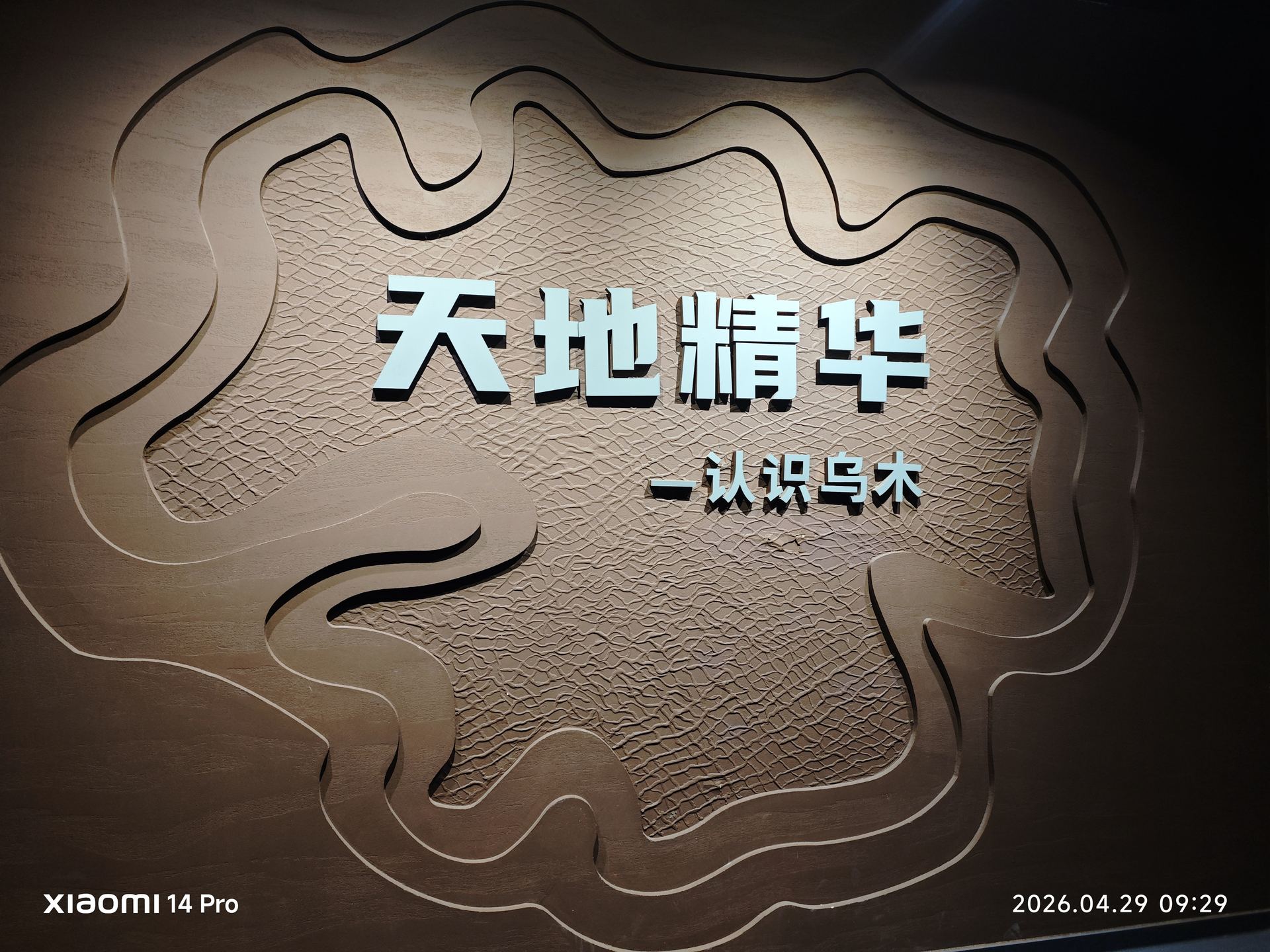 '天地精华 一以贯之乌木'——浮雕墙面镌刻着乌木文化的精髓，木纹里藏着亿万年的光阴。