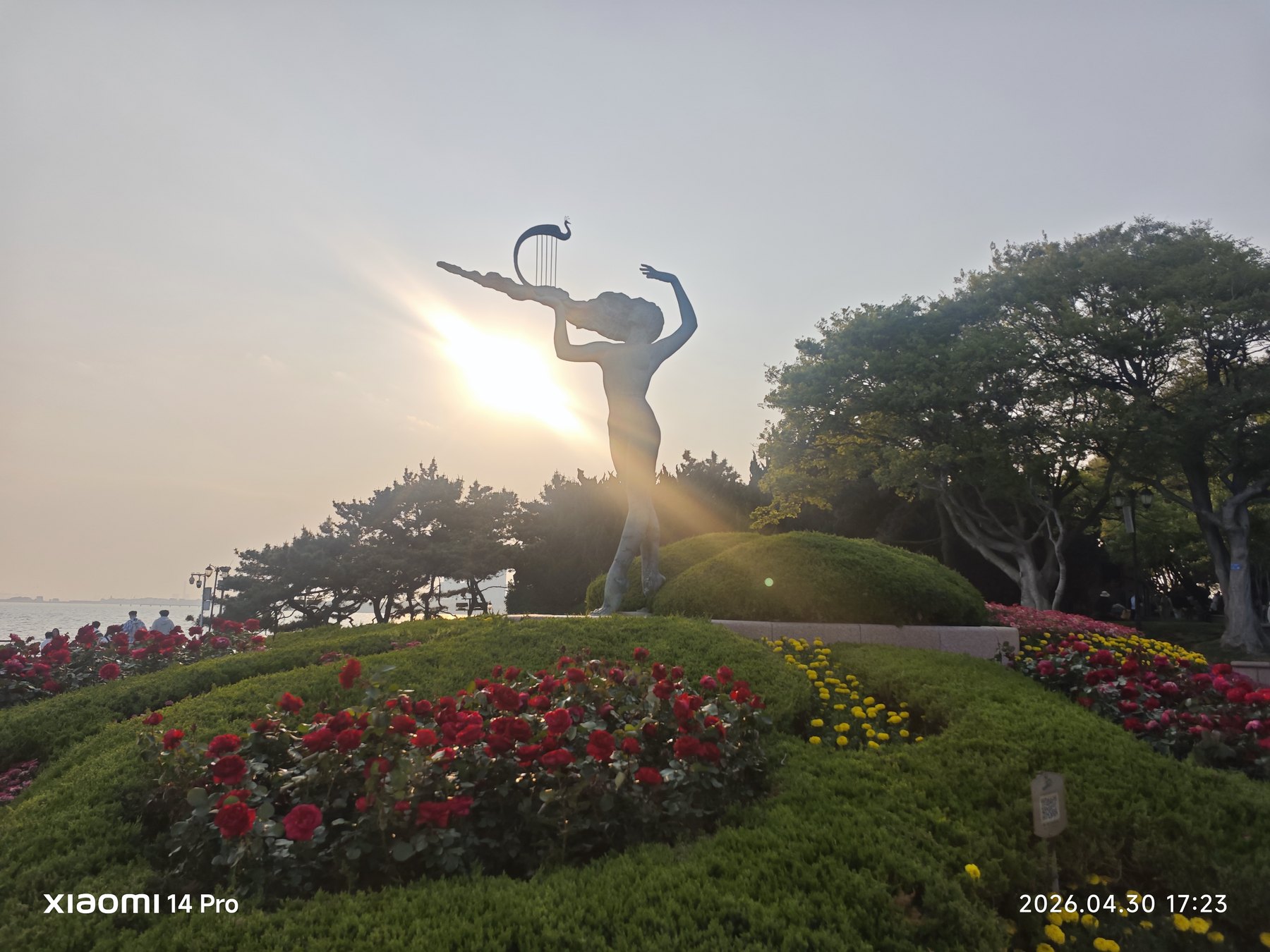 夕阳从雕塑背后洒下来,花、树和海一起亮了。