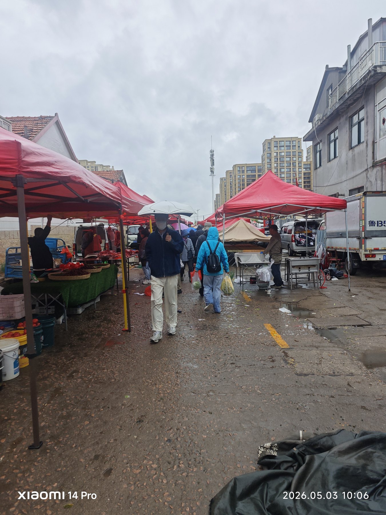 第三天从雨后的街市开始,伞和摊位让清晨有了生活气。